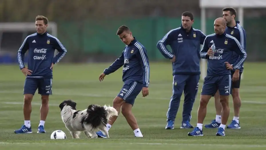 La Selección se prepara para la doble fecha de eliminatorias