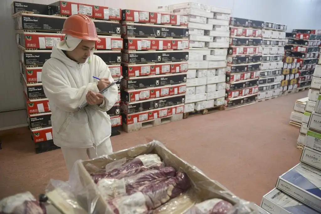 Afirman que la producción de carne argentina puede beneficiarse por recuperación de demanda china