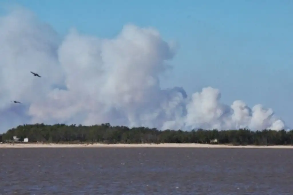 Fuego en las islas: “Parece que es para molestar al Gran Rosario”