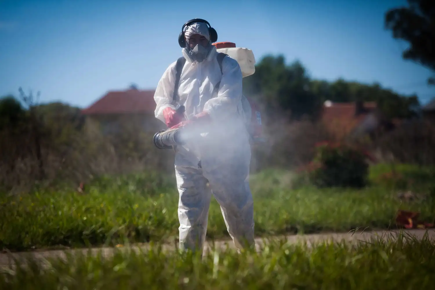 Aseguran que la invasión de mosquitos se terminará en "10 o 15 días"