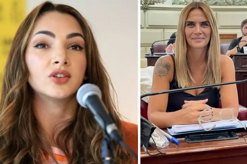 Thelma Fardín apuntó contra Amalia Granata en Twitter: la picante respuesta de la diputada