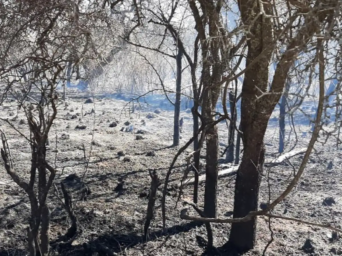 Bomberos controlaron un incendio en Santa Rosa de Calamuchita