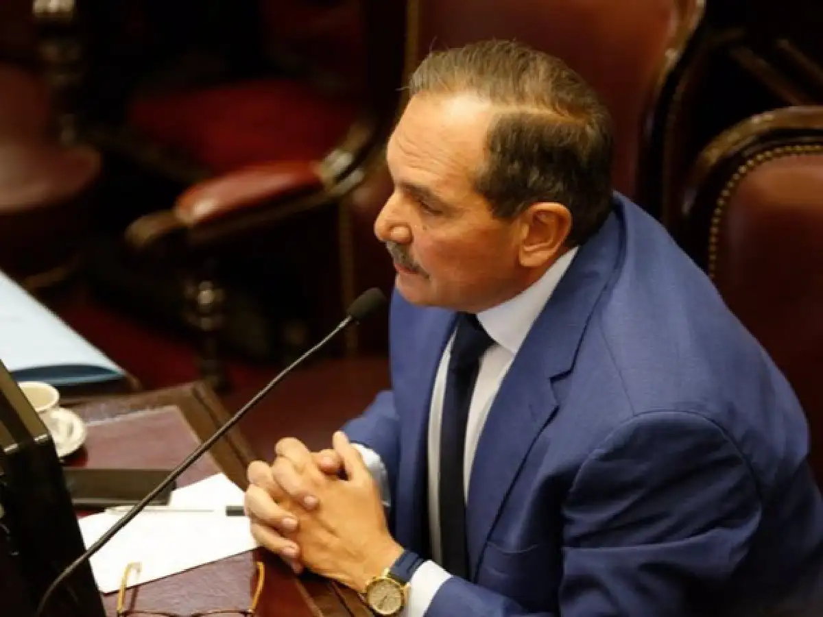 El Senado aprobó licencia por seis meses para Alperovich
