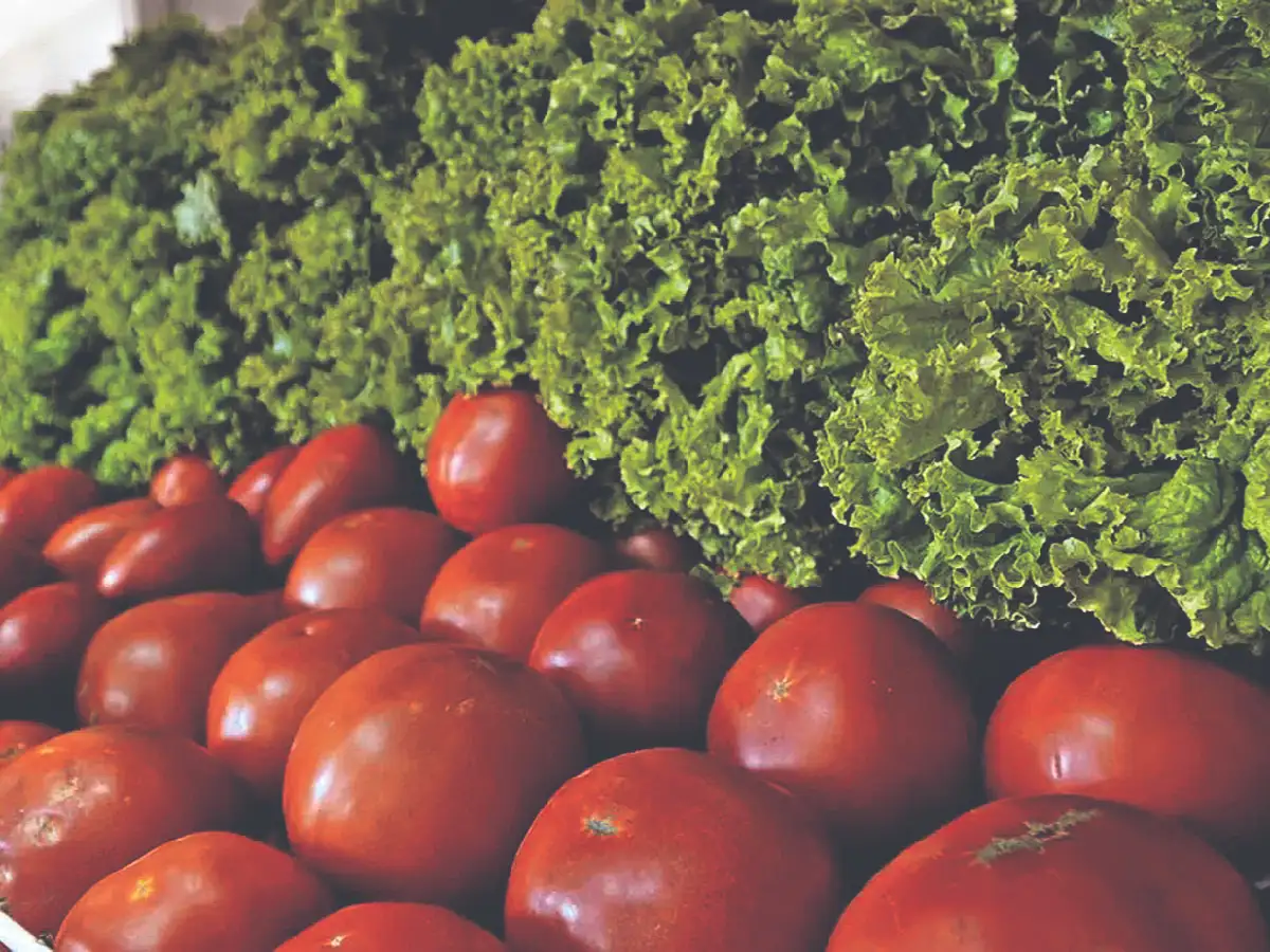 San Francisco: el tomate el que más subió, el kilo llegó a los $1.000     