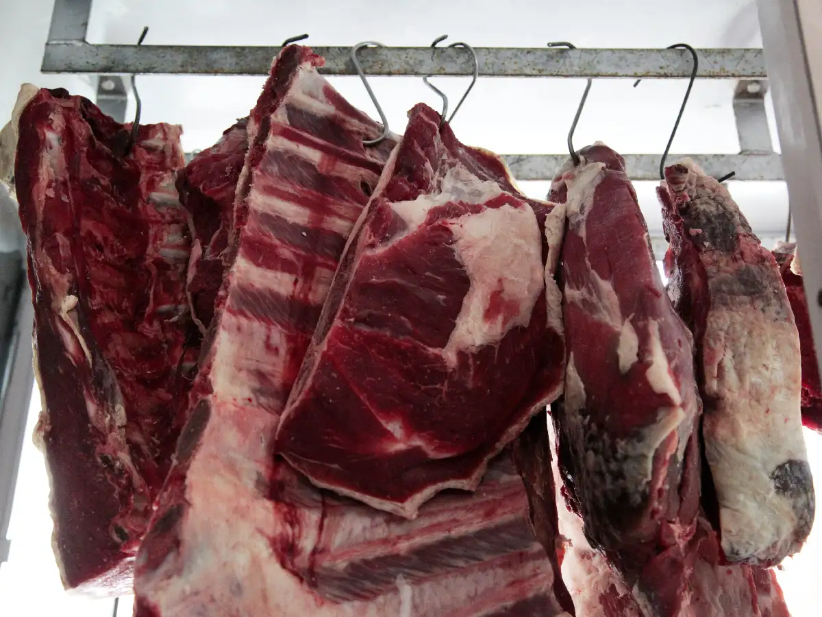 El kilo de asado a $149, "inviable" para los carniceros de la ciudad