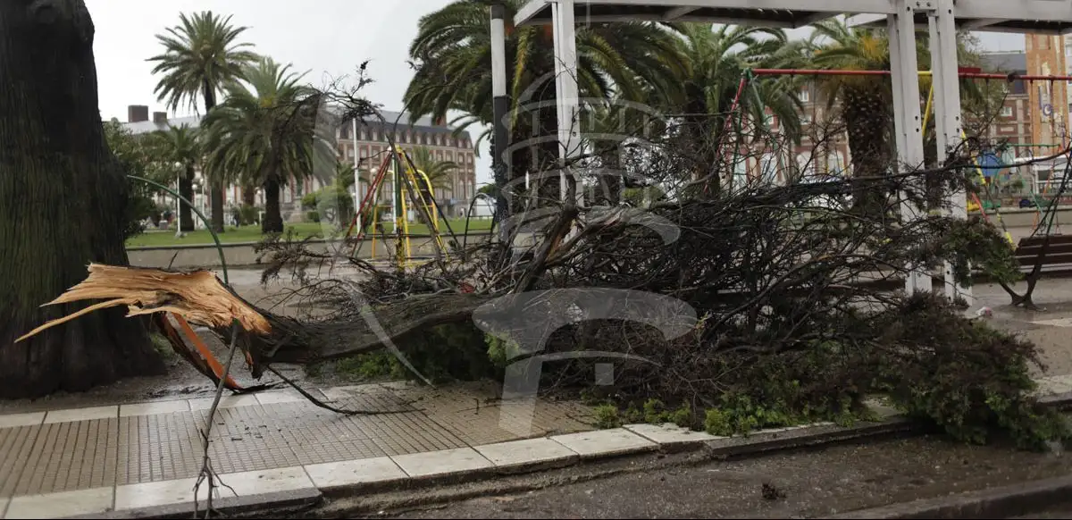 Temporal: sin clases y con 250 evacuados