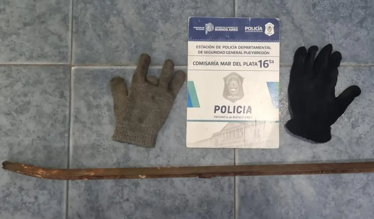Con una barreta, el delincuente forzó la reja de una de las ventanas.