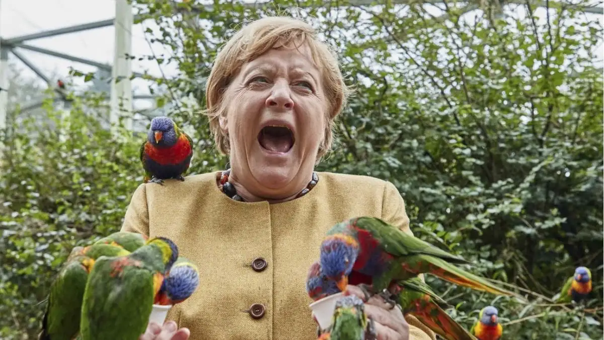 Angela Merkel visita un parque de aves y su imagen se vuelve viral