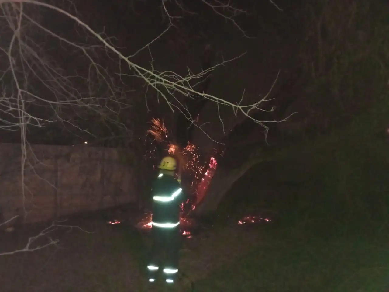 La base del árbol tomó fuego, y el incendio fue controlado por los servidores públicos.