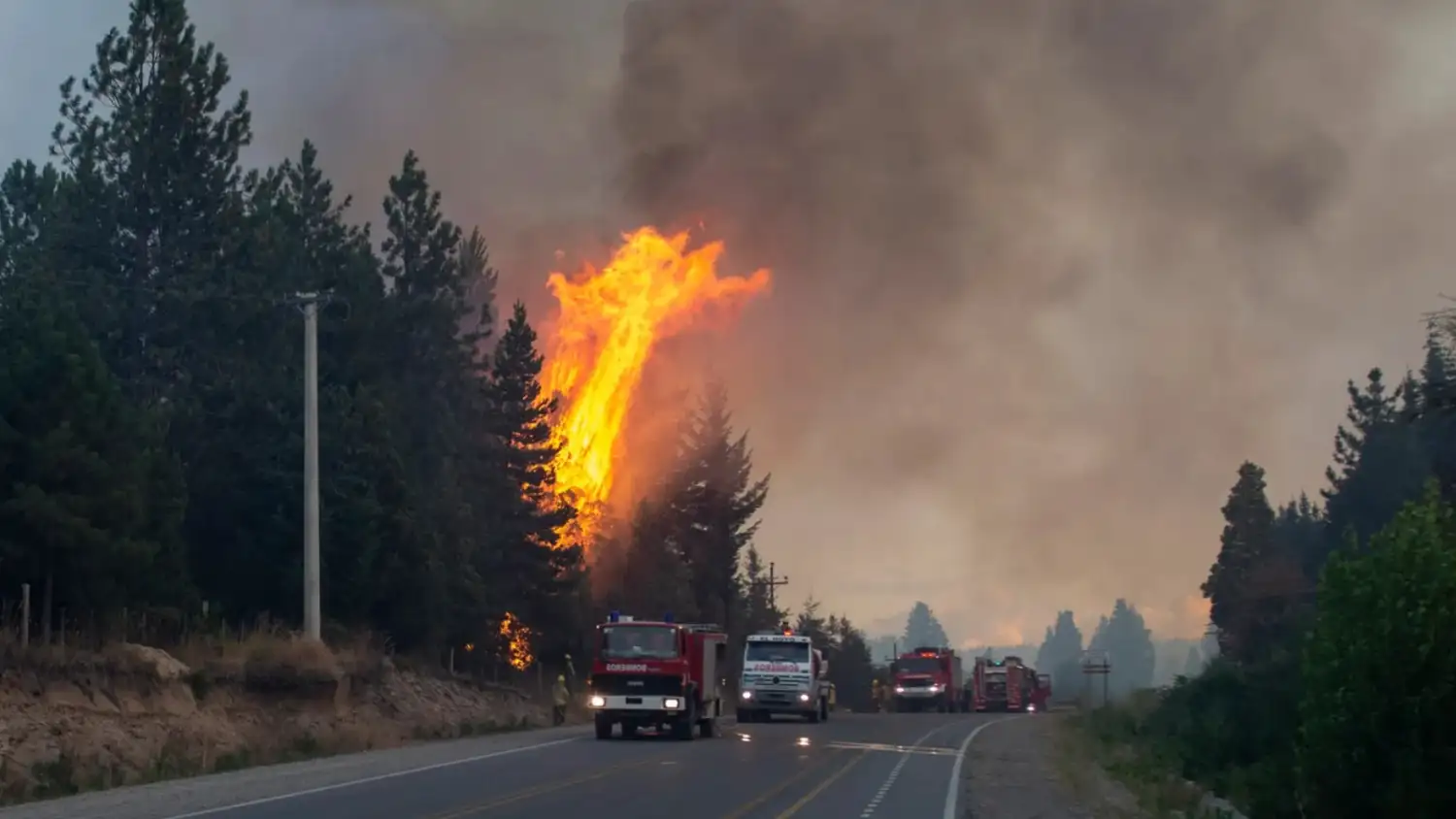 Patagonia incendiada