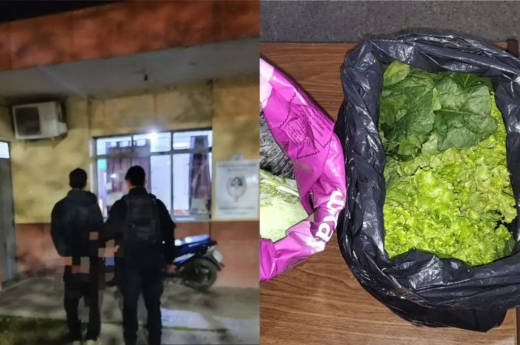 El hombre transportaba dos bolsas de consorcio cargadas con verduras frescas.
