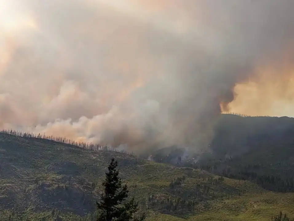 Los daños causados por incendios forestales en la UE se cuadruplicaron este año