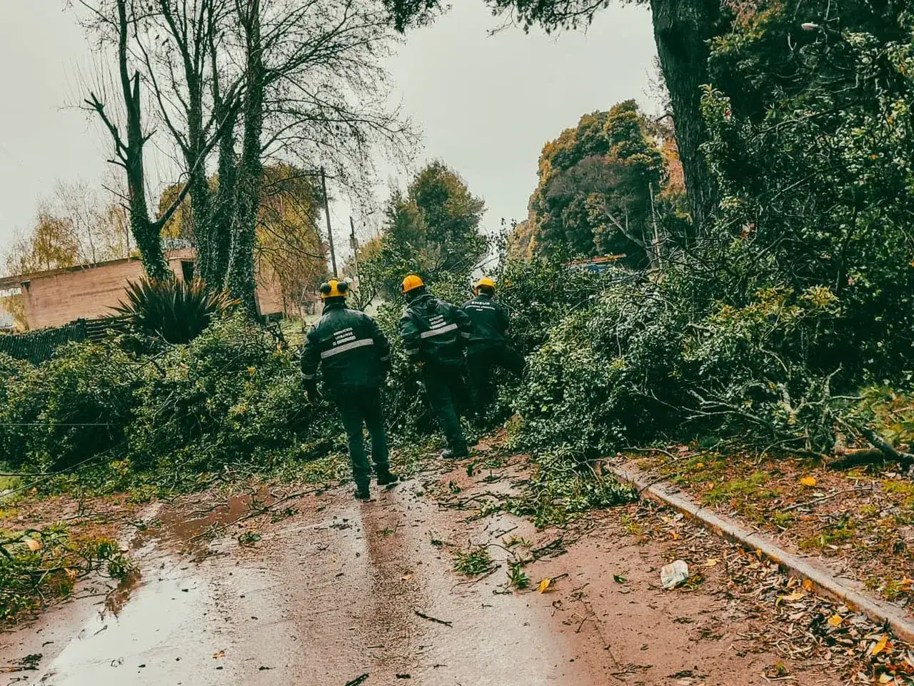 El temporal dejó 40 reclamos en Mar del Plata