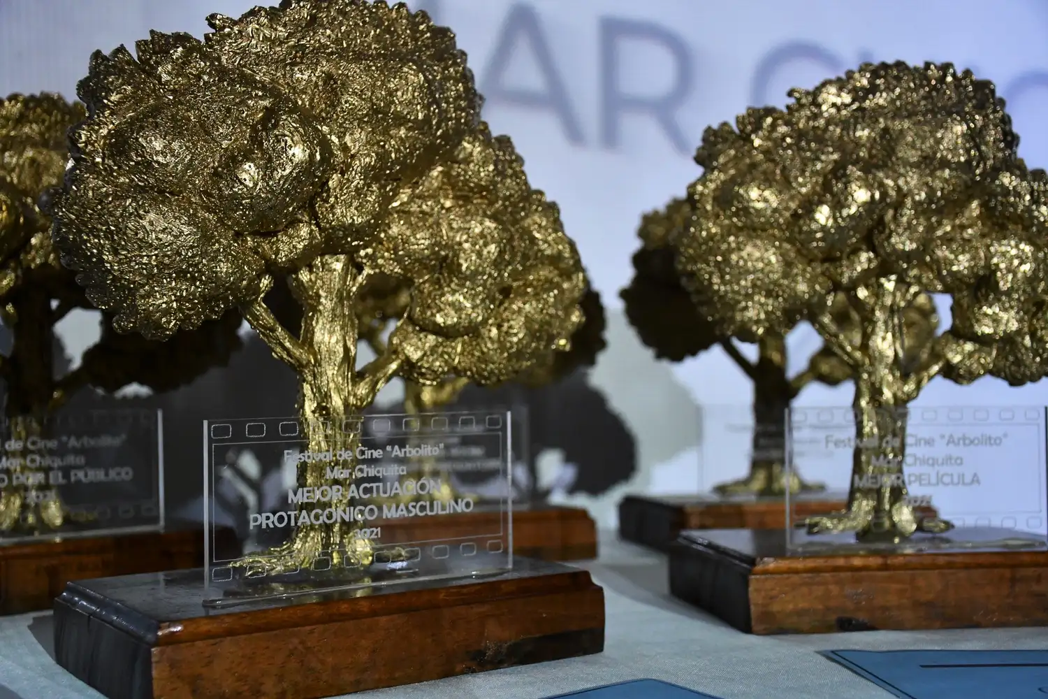 Se viene el 3° Festival de Cine Regional “Arbolito” de Mar Chiquita