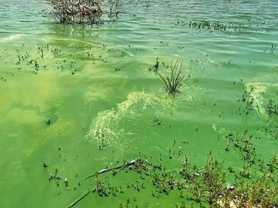 rio contaminado