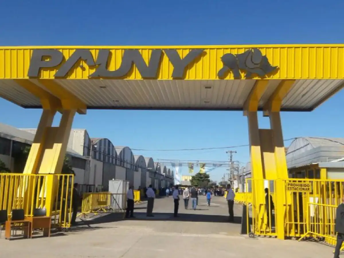 Pauny solo trabajará 3 días a la semana
