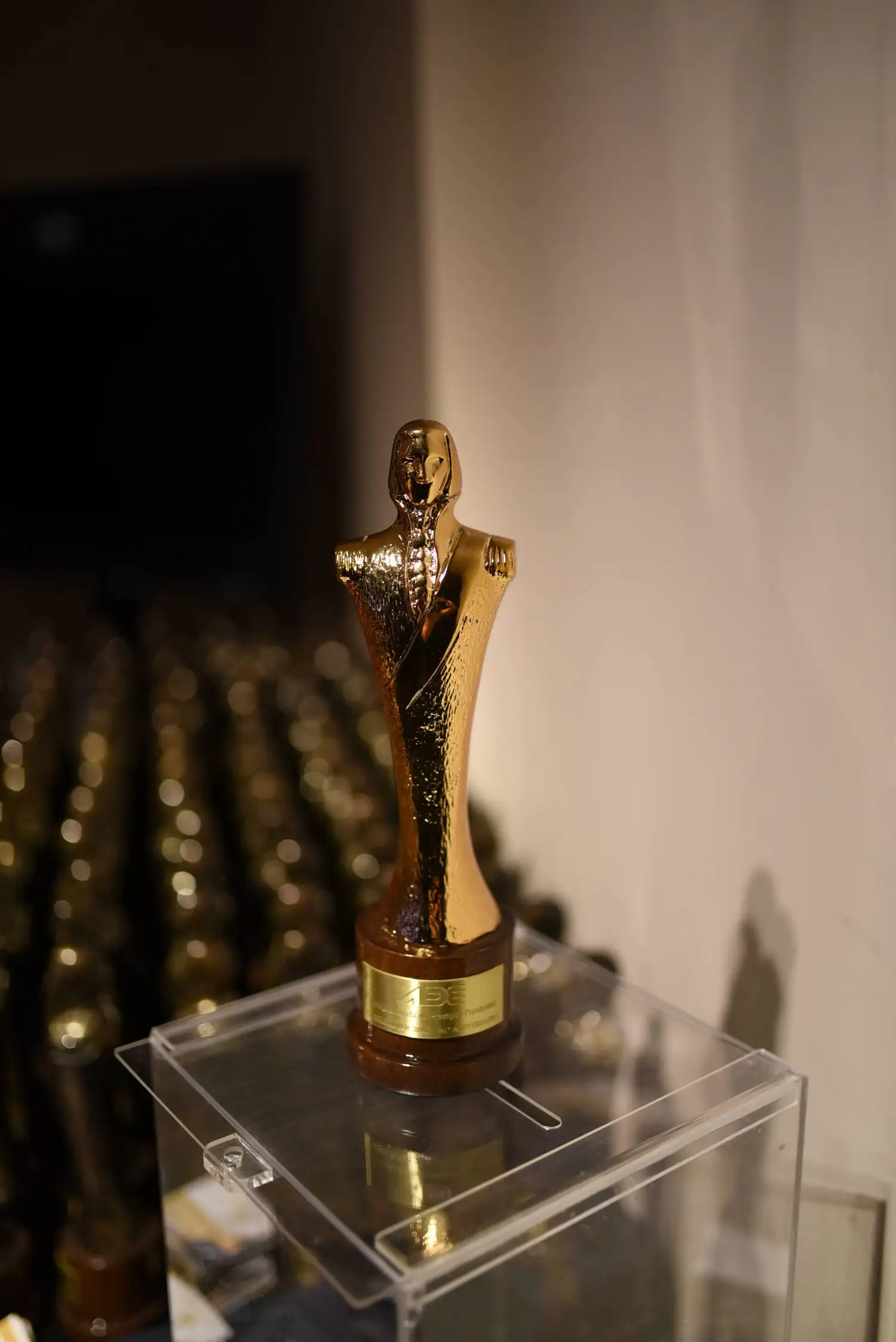 Premios El Brigadier 2018: elegí a las empresas líderes de la ciudad
