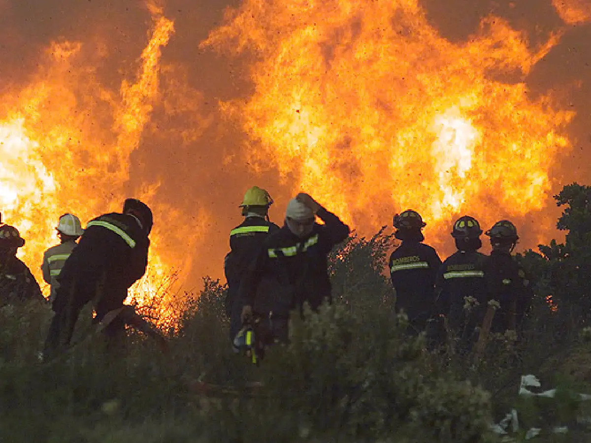 Chile: un millar de viviendas fueron arrasadas en la región del Maule