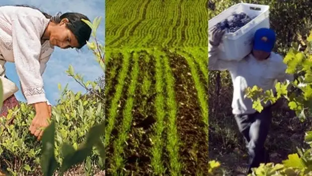 Alerta y movilización de las economías regionales
