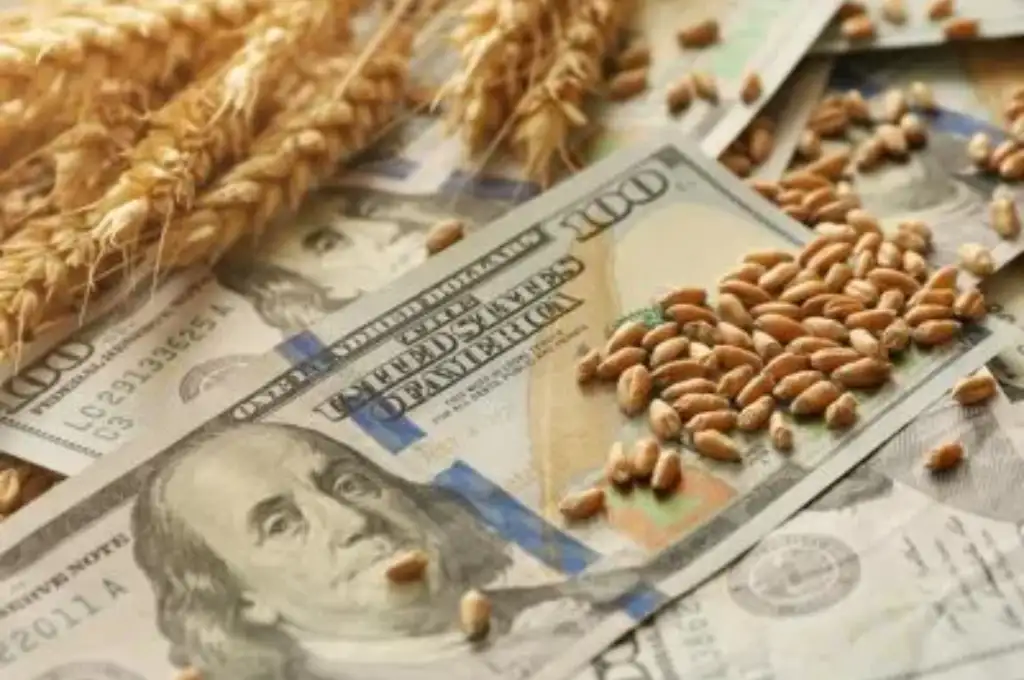El dólar agro alcanza también a productos textiles