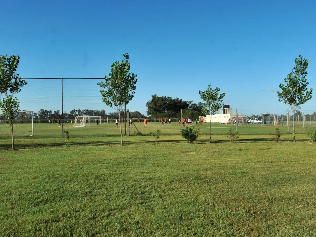 Robaron nuevamente en el predio de Sportivo, en barrio San Cayetano