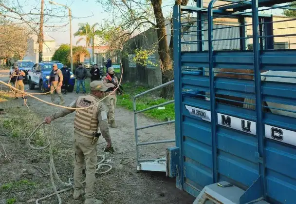 El operativo se realizó sobre calle Luis Miretti.