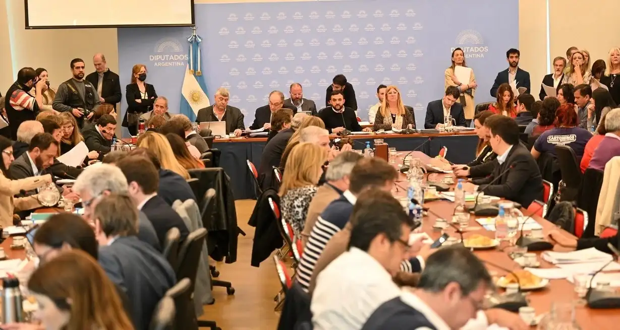 Diputados: postergan hasta el próximo jueves el dictamen del proyecto para proteger los humedales