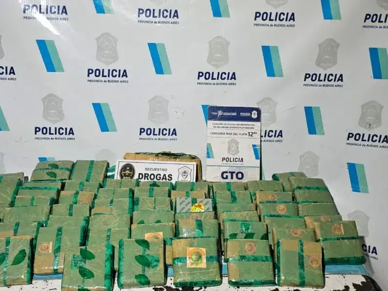 Allanamiento en Jorge Newbery: secuestraron 67 panes de hojas de coca, municiones y aves silvestres