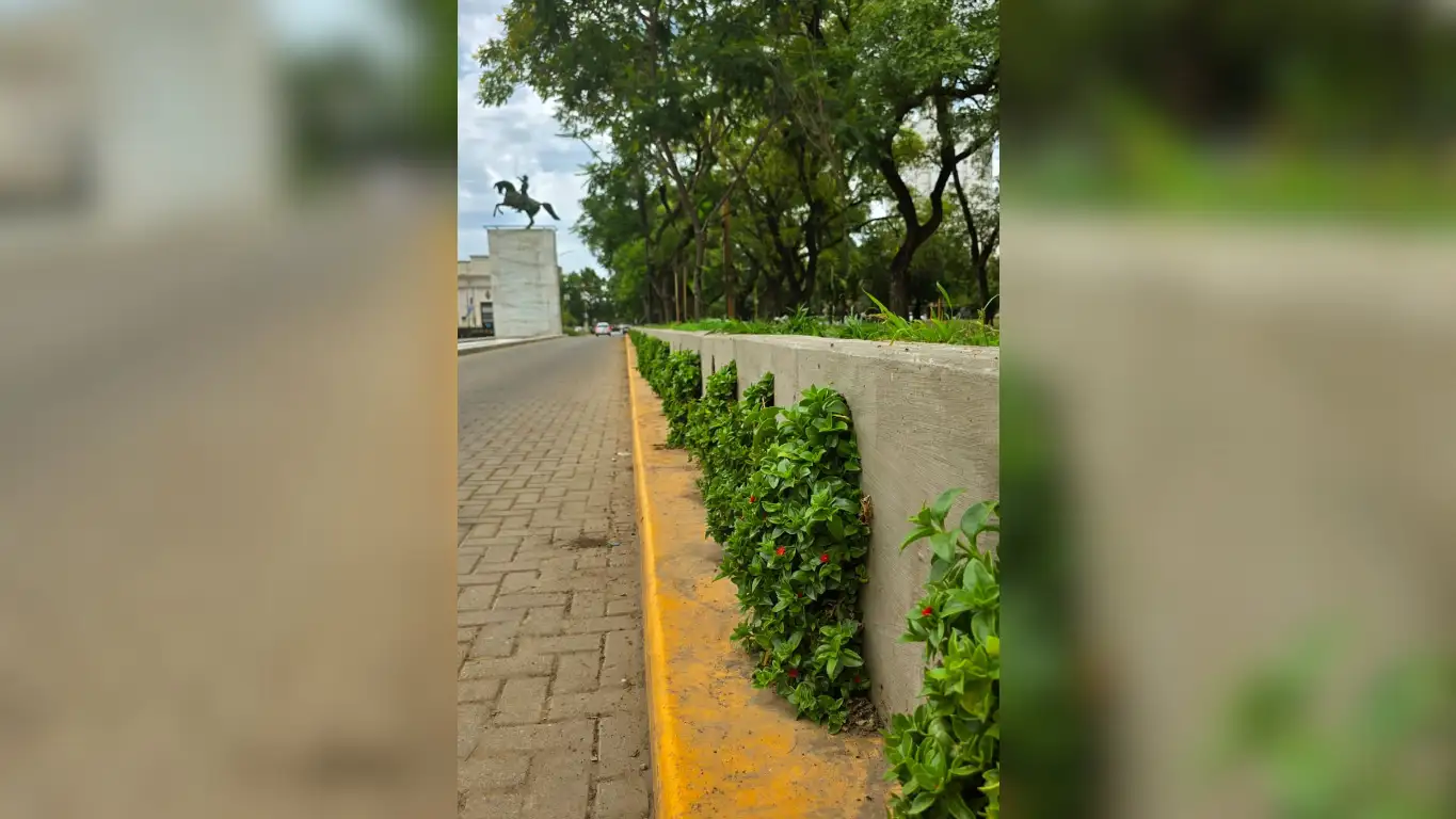 Reposición de plantas y trabajo conjunto para renovar los espacios verdes de San Francisco.