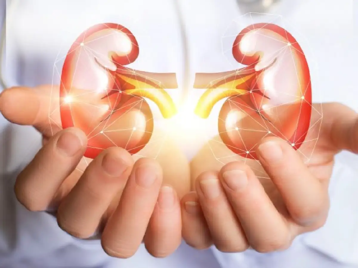  Una de cada 10 personas padece enfermedad renal crónica        
