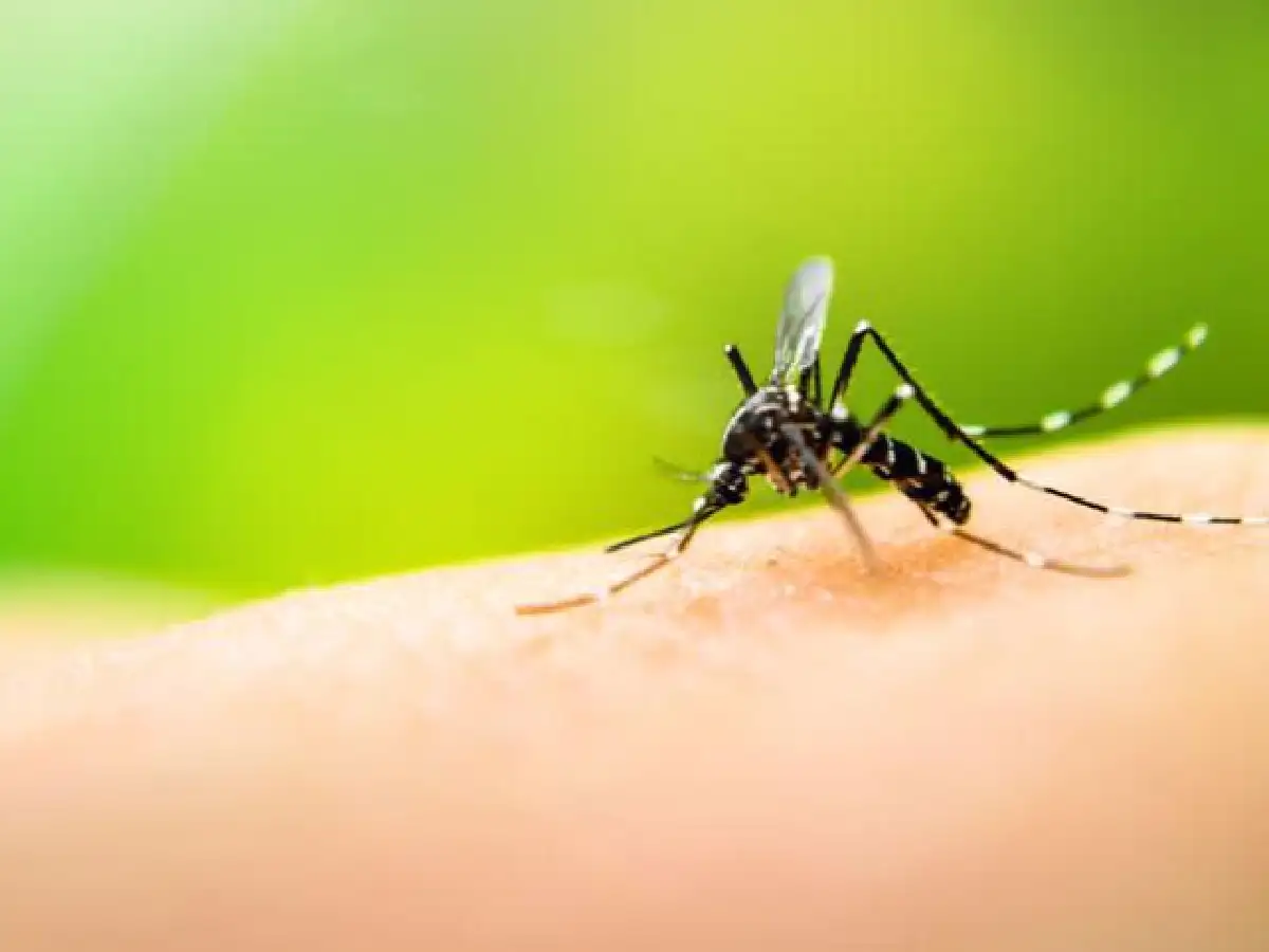 Córdoba: Salud advierte por nuevos casos de dengue