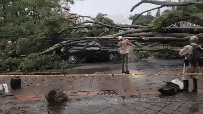 El tremendo accidente de un exjugador de San Lorenzo en Colombia.
