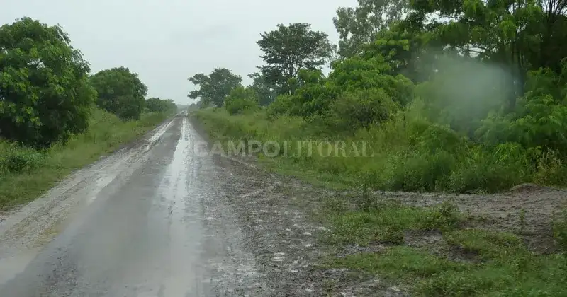 Previo a un Niño que promete importantes precipitaciones, llegan lluvias para la fina