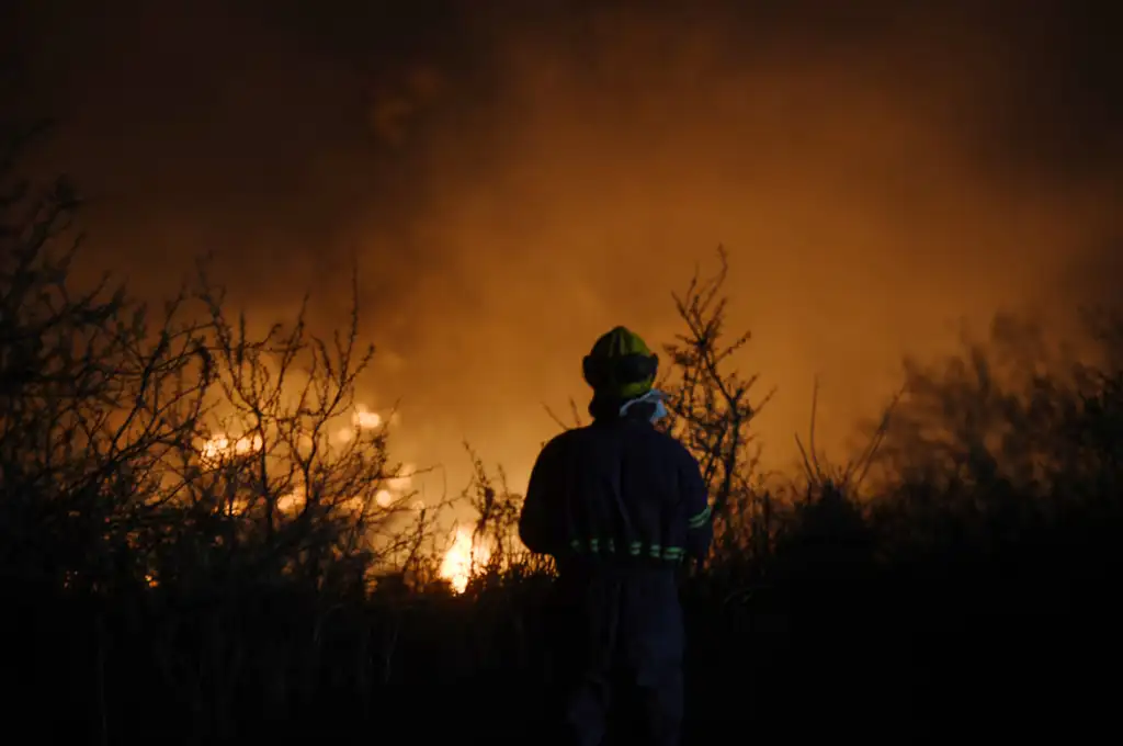 Incendios forestales
