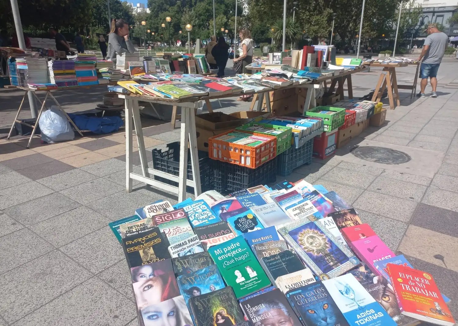 La feria de libros usados de la peatonal, un clásico en cada regreso a clases.