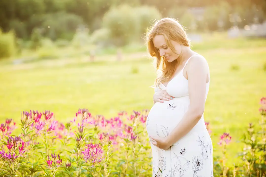 31 de agosto: Día de la Obstetricia y de la Embarazada