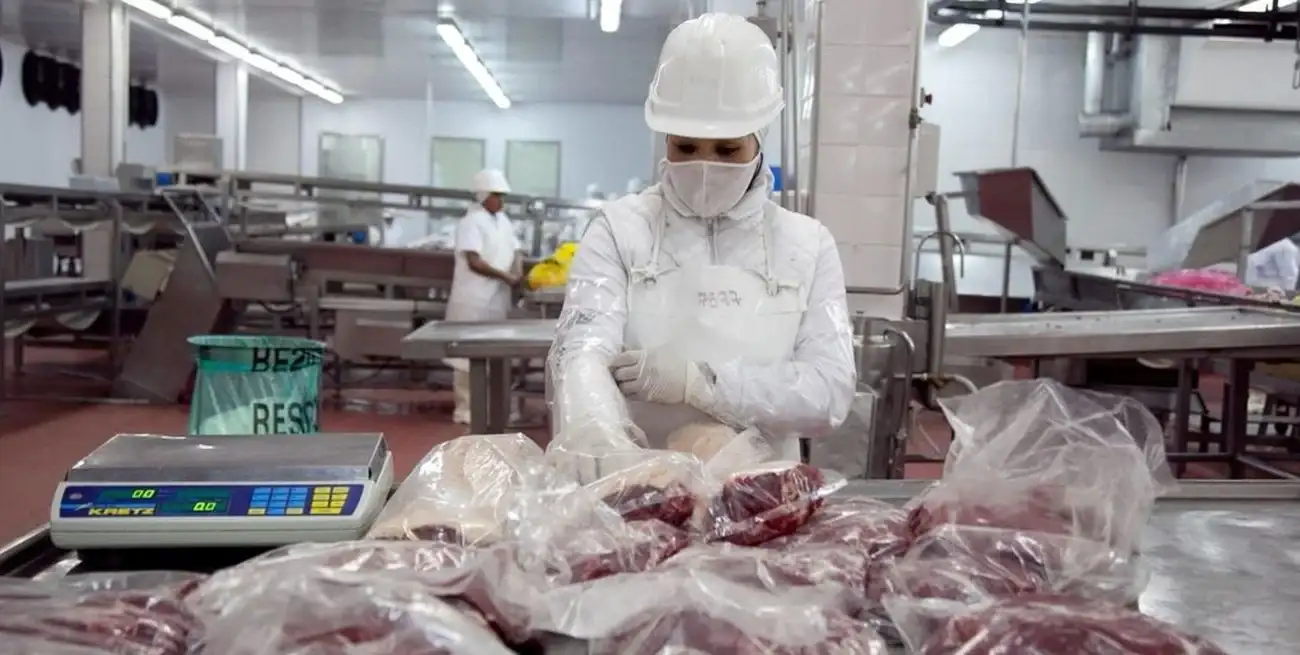 De los 48 mercados de exportación, considerando a la Unión Europea como uno solo, se destaca el aumento de los envíos a Estados Unidos 46%; Chile 21%; Israel 11%; UE 7% y China 4%.