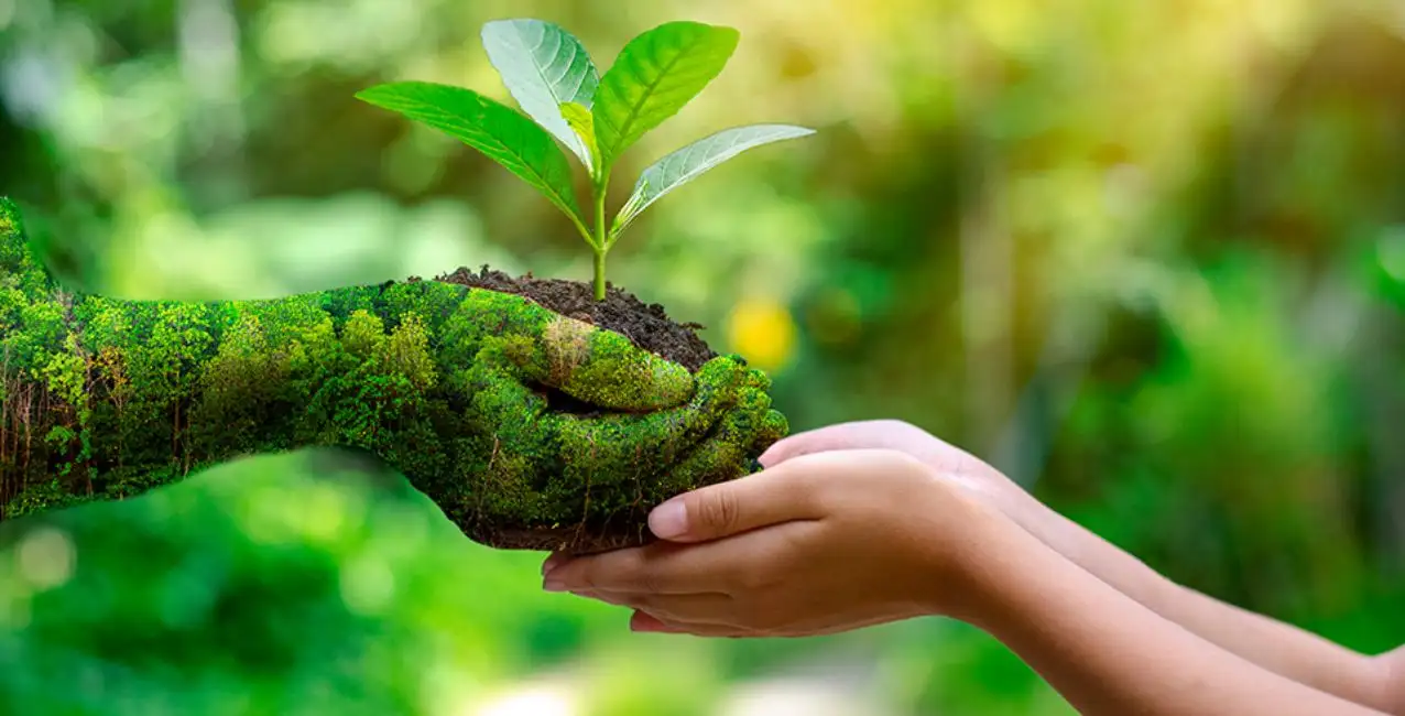 27 de septiembre: Día Nacional de la Conciencia Ambiental