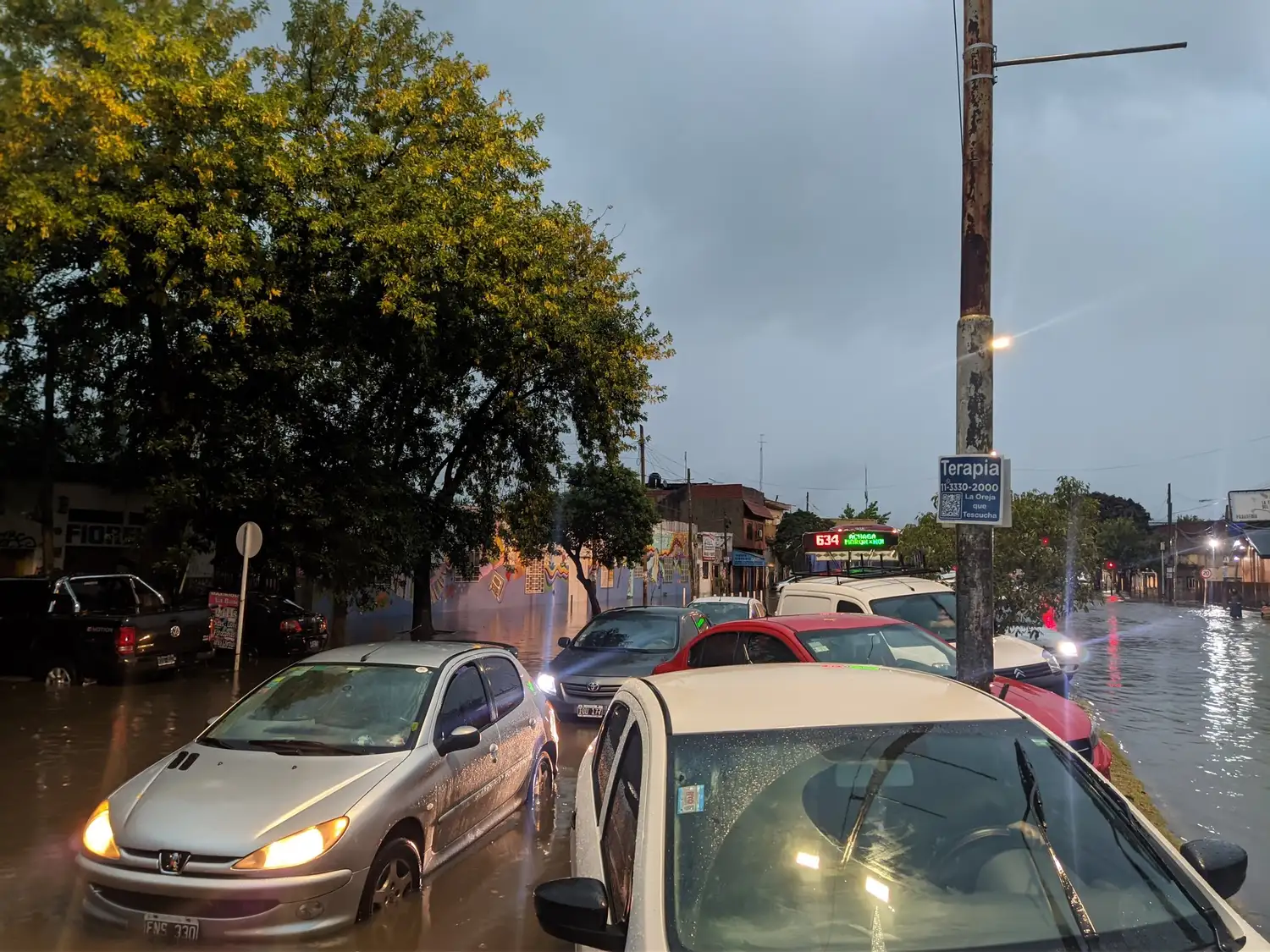 Alerta en toda la provincia por fuertes tormentas: calles intransitables, y postes y árboles caídos