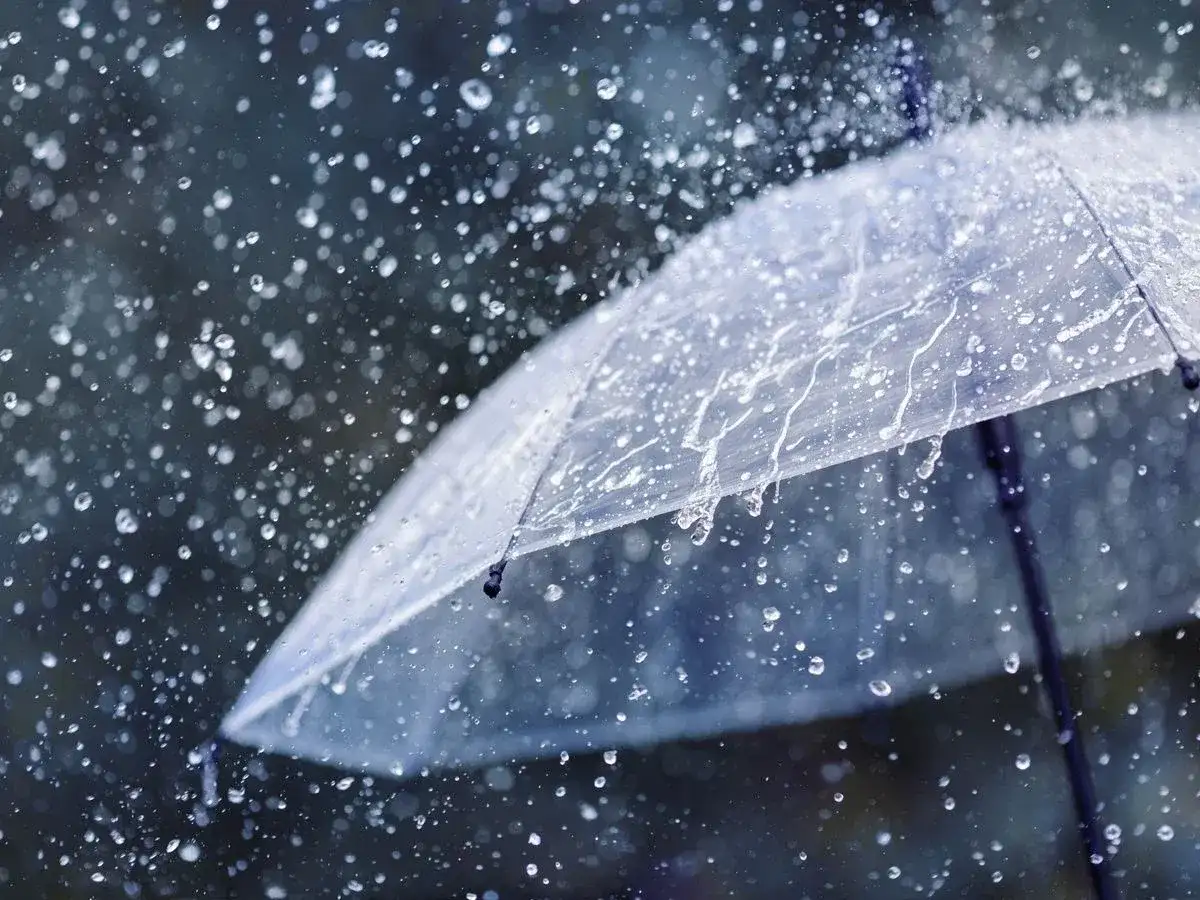 Lluvias, tormentas y fuertes ráfagas de viento protagonizarán la jornada.