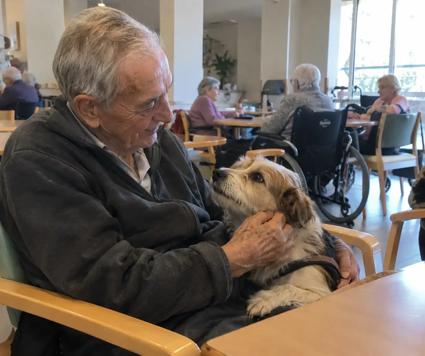 Buscan habilitar mascotas en geriátricos bonaerenses