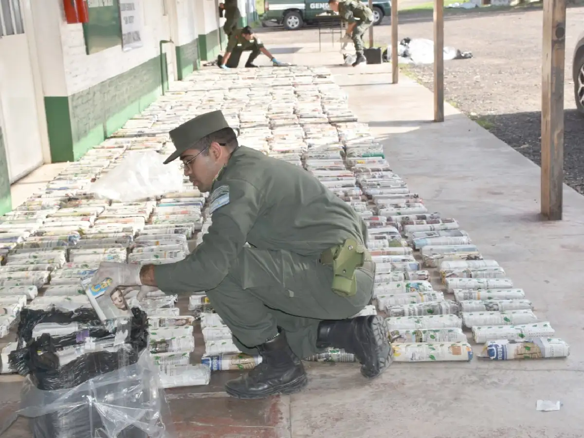 Gendarmería secuestró 447 kilos de hojas de coca en San Cristóbal