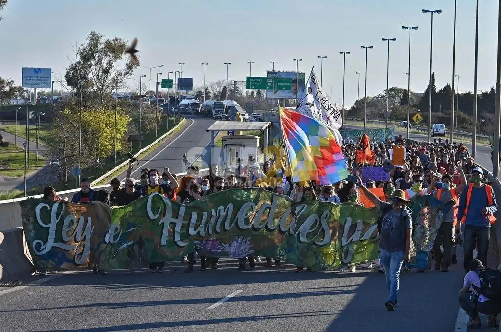 Empezó la cuenta regresiva para que la Ley de Humedales pierda estado parlamentario