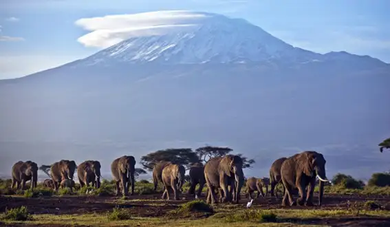 En los últimos años, los Viajes a África en privado se han convertido en uno de los grandes sueños de los viajeros que buscan experiencias auténticas.