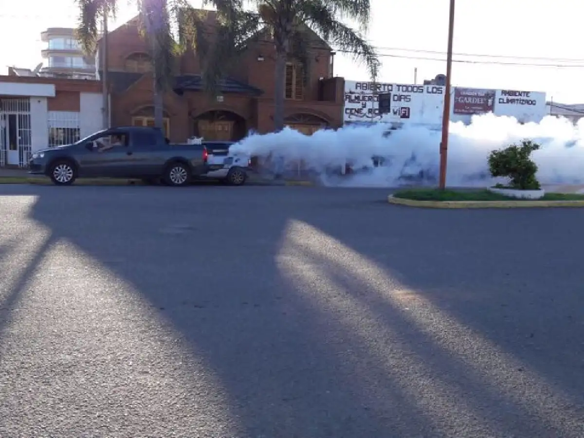 Comenzó la fumigación de mosquitos