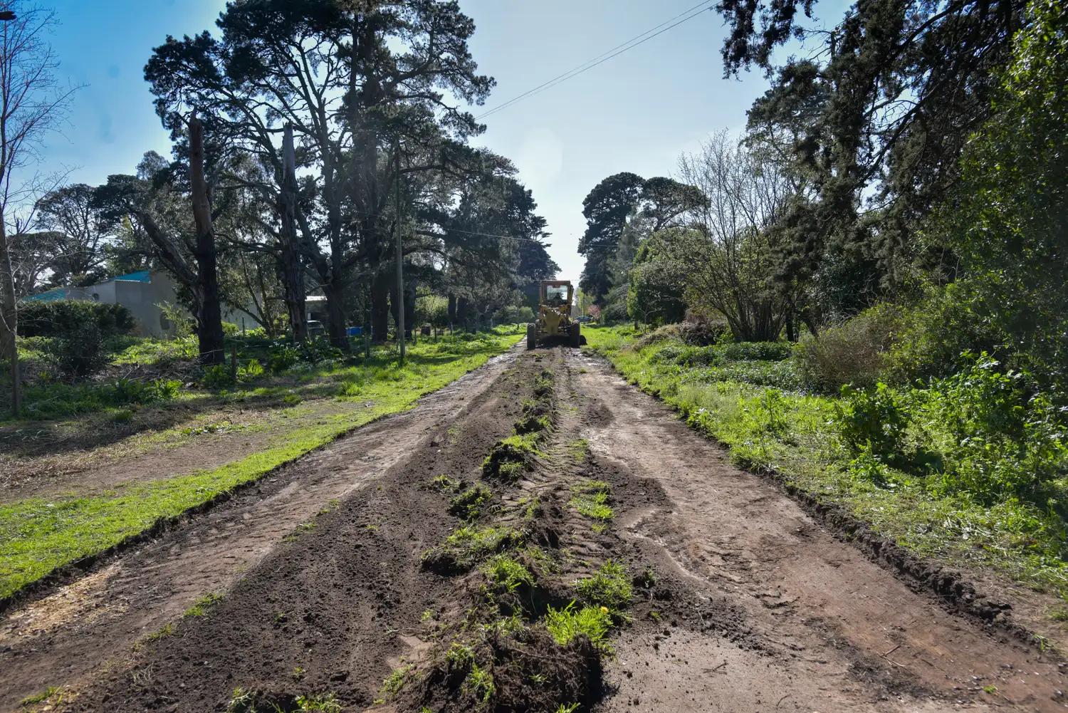 Además, se retiraron restos de poda y se trabajó en el mantenimiento de espacios públicos.