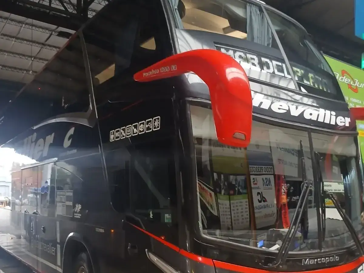 Tras constatarse la infracción, el conductor fue desafectado del servicio y se procedió a aplicar las sanciones correspondientes.