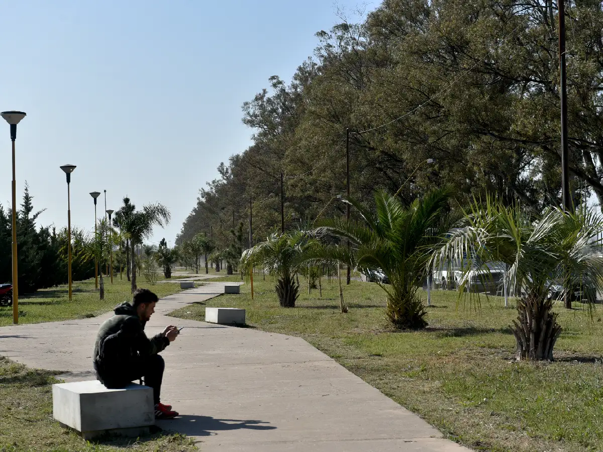 Plantaron 25 nuevos árboles en la Plaza de los Abuelos   