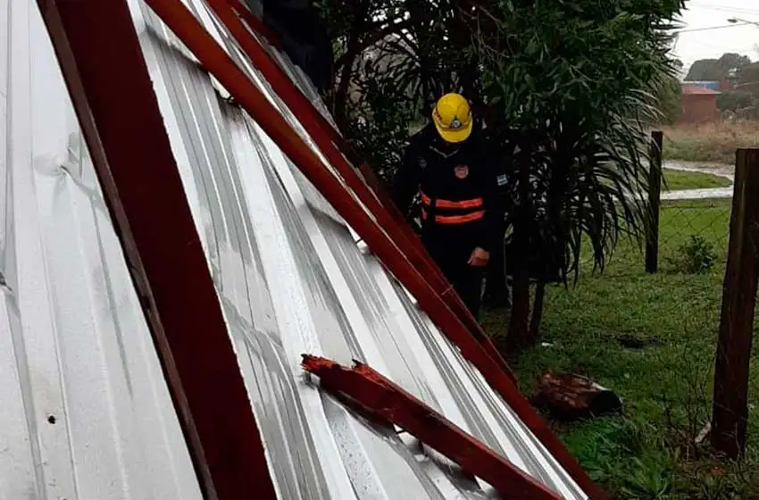 Fuerte viento: más de 10 árboles caídos y 15 barrios sin luz
