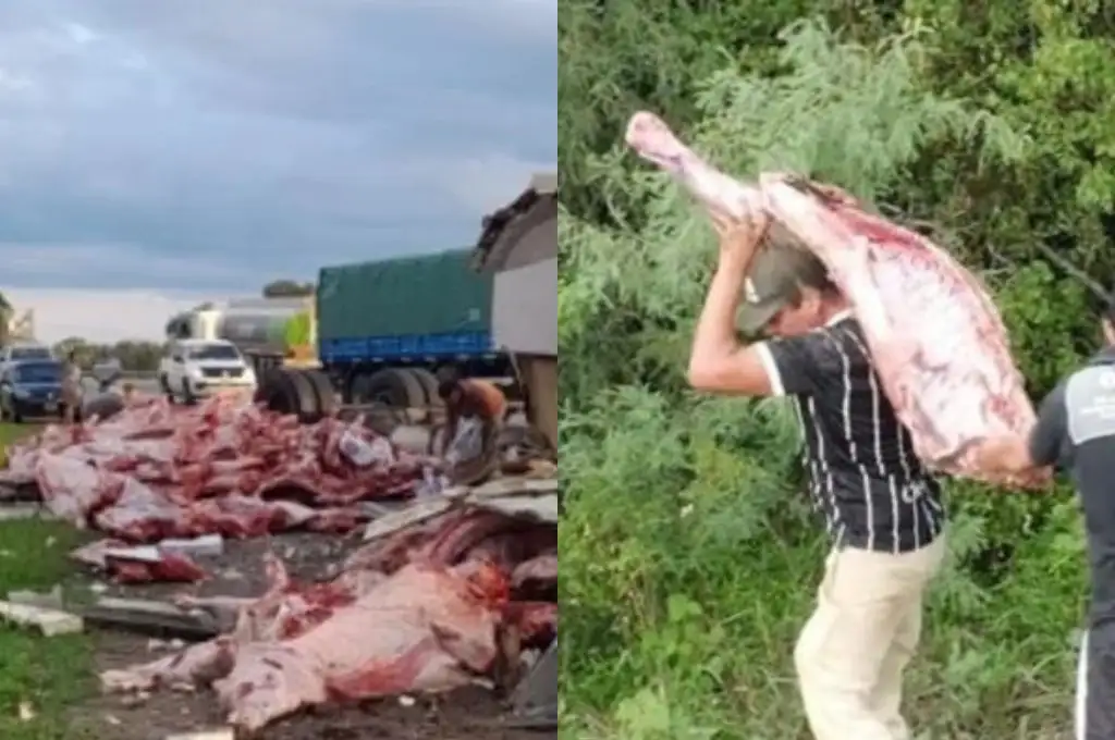 Salta: volcó un camión frigorífico y se llevaron 11.000 kilos de carne